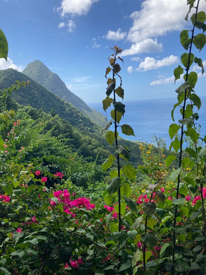 The Pitons on St. Lucia